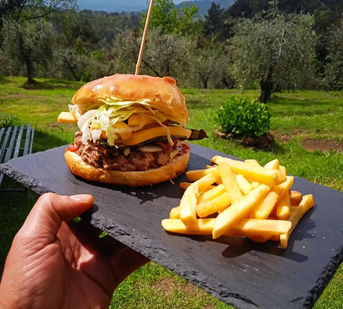 Farm stay Agriturismo Da Nonna Argia Massa e Cozzile Italy