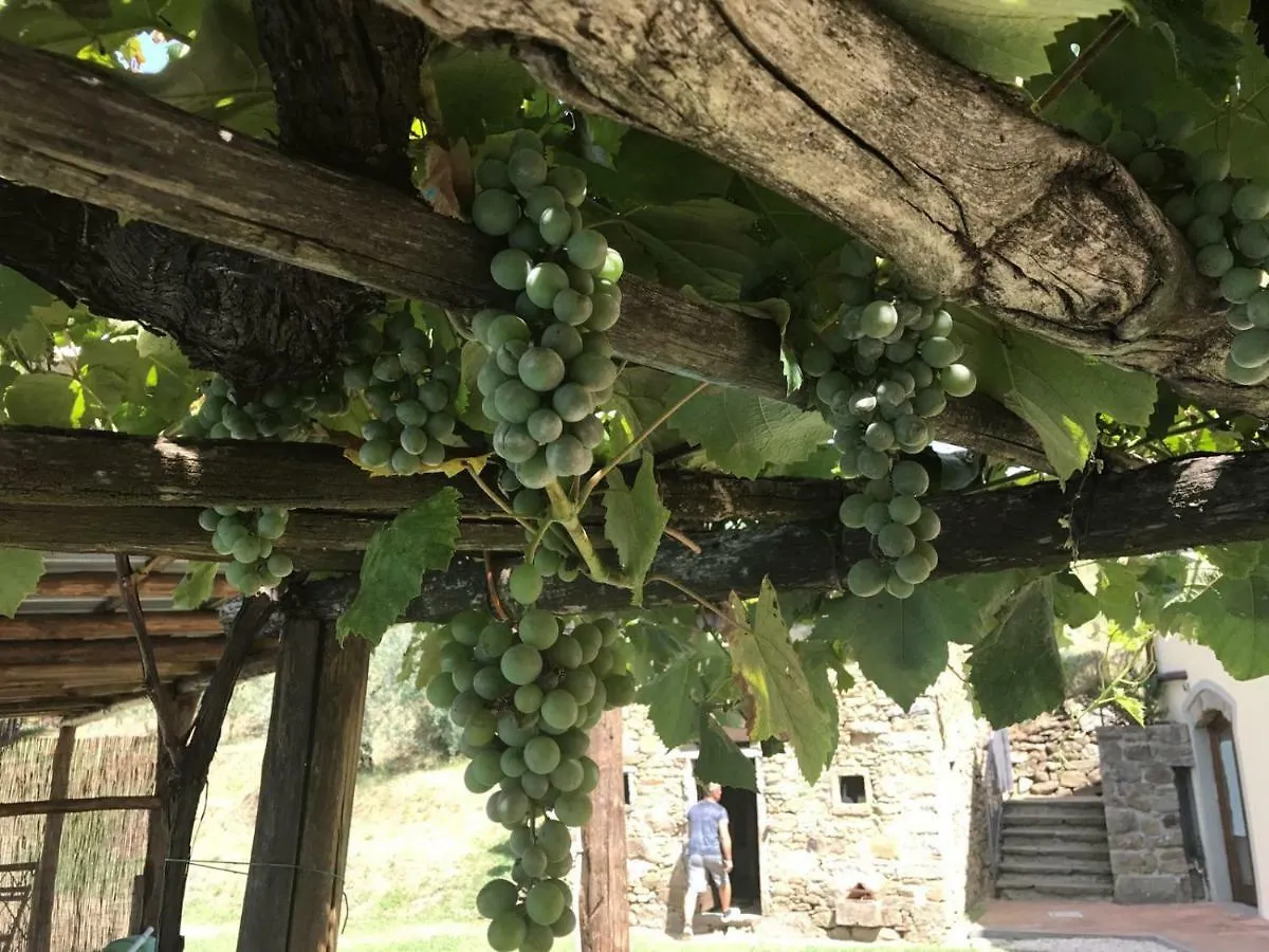 Agriturismo Da Nonna Argia Massa e Cozzile Farm stay